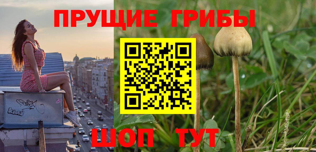 Галлюциногенные грибы Magic Shrooms  Галлюциногенные грибы Psilocybine cubensis  Феодосия  Вход с VPN 